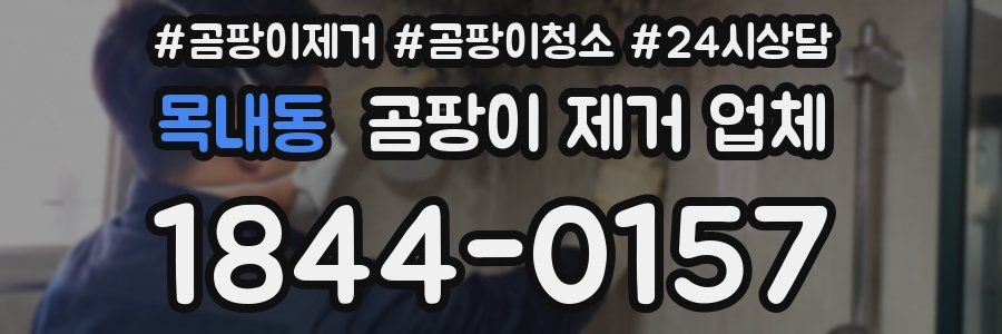 목내동 곰팡이 제거 업체