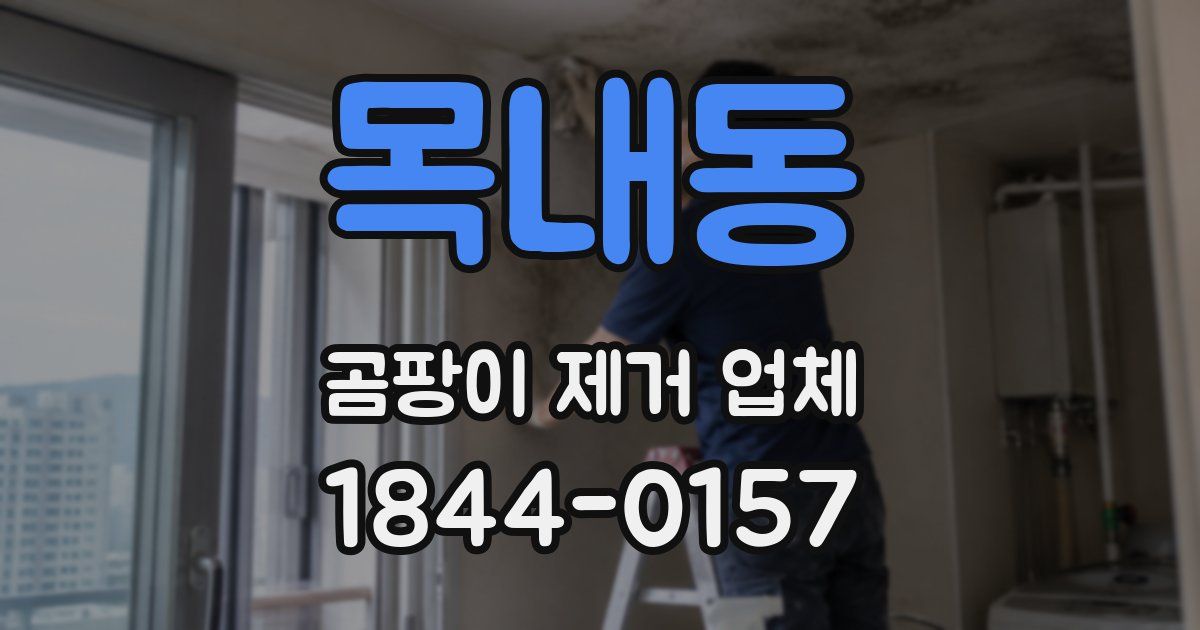 목내동 곰팡이 제거 업체