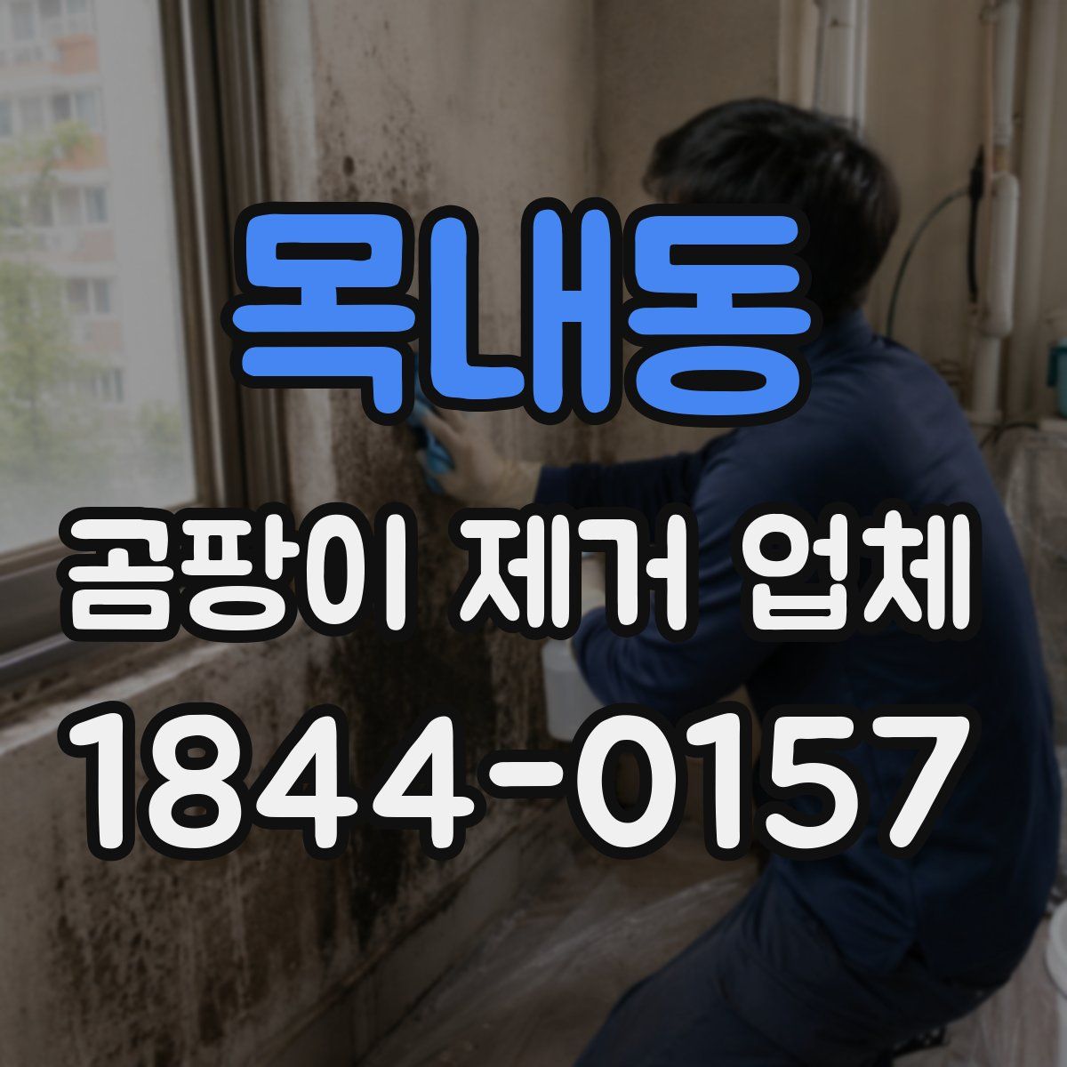 목내동 곰팡이 제거 업체