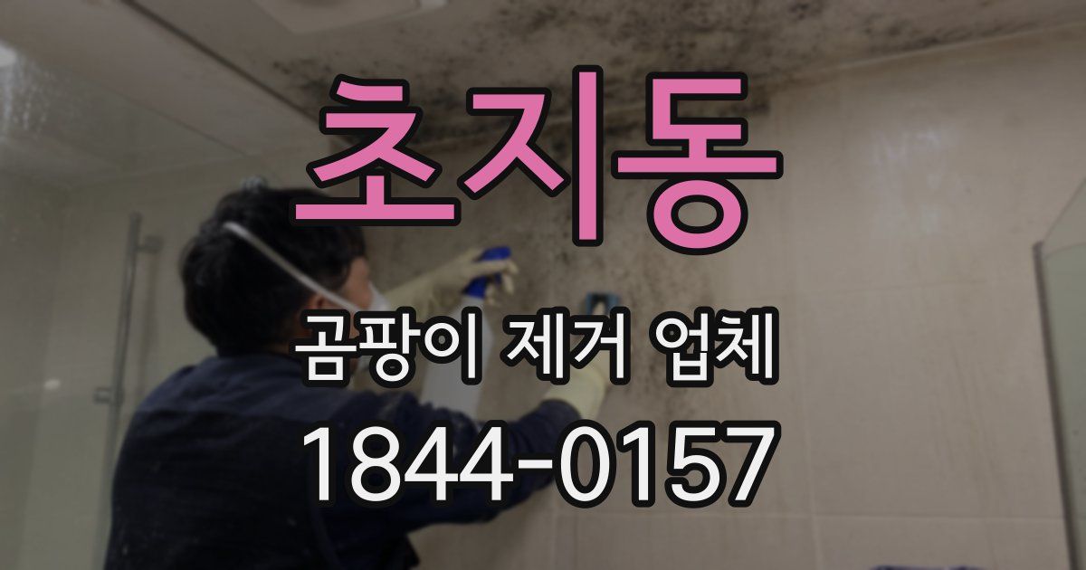 초지동 곰팡이 제거 업체