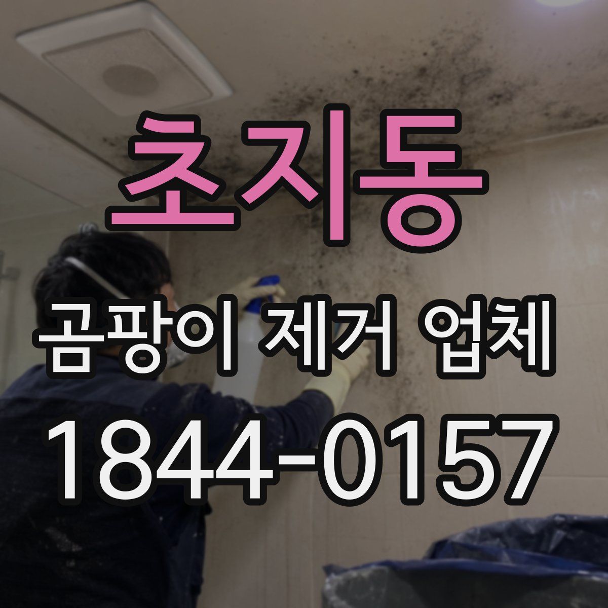 초지동 곰팡이 제거 업체