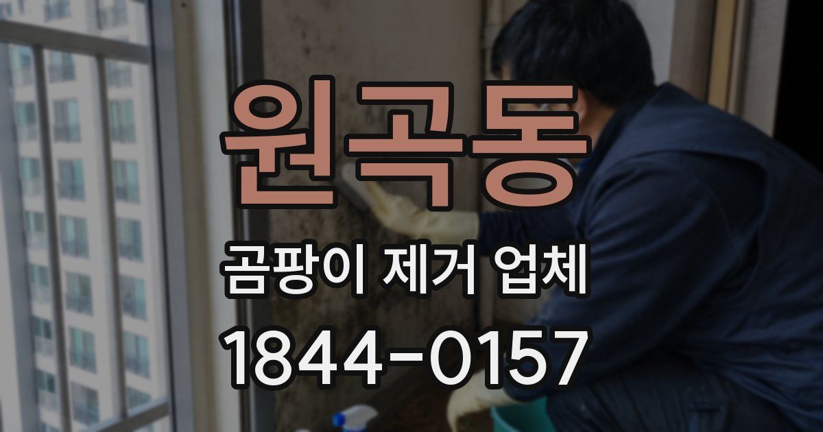 원곡동 곰팡이 제거 업체