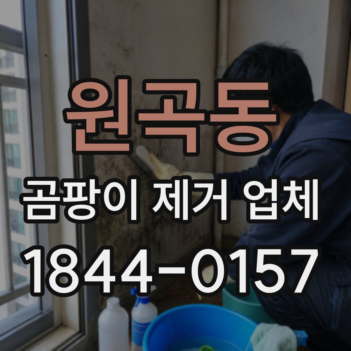 원곡동 곰팡이 제거 업체