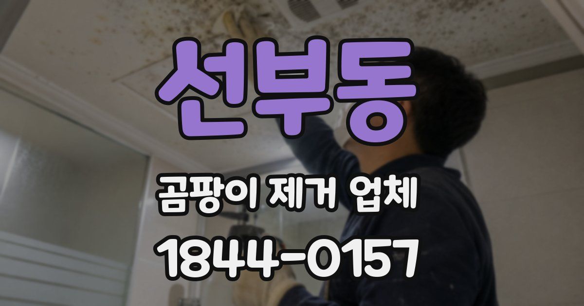 선부동 곰팡이 제거 업체
