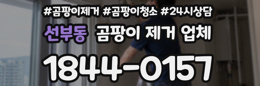 선부동 곰팡이 제거 업체