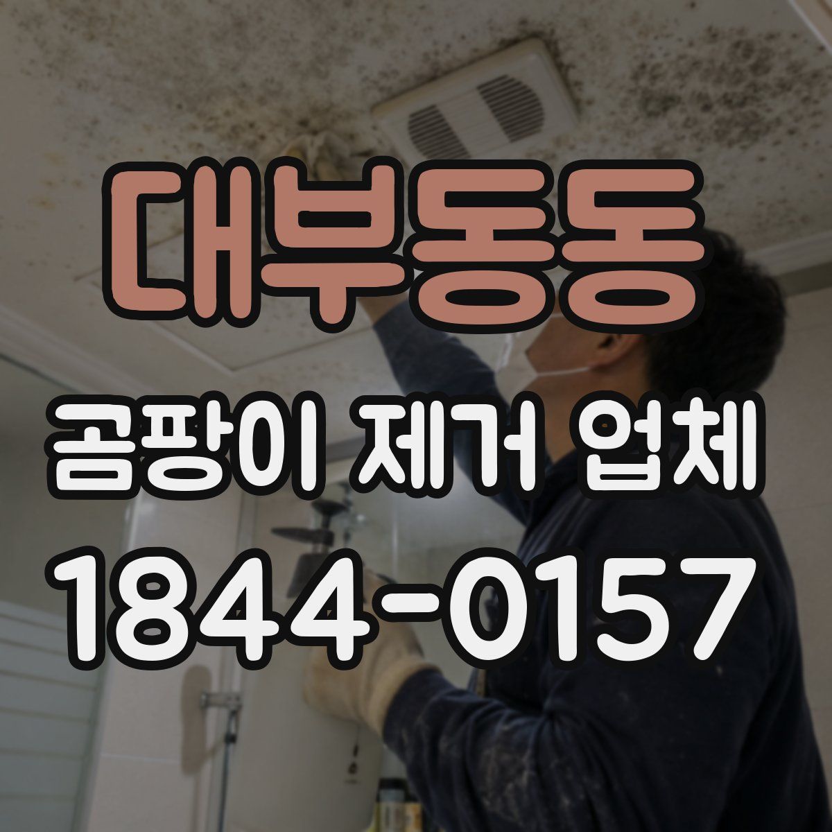 대부동동 곰팡이 제거 업체