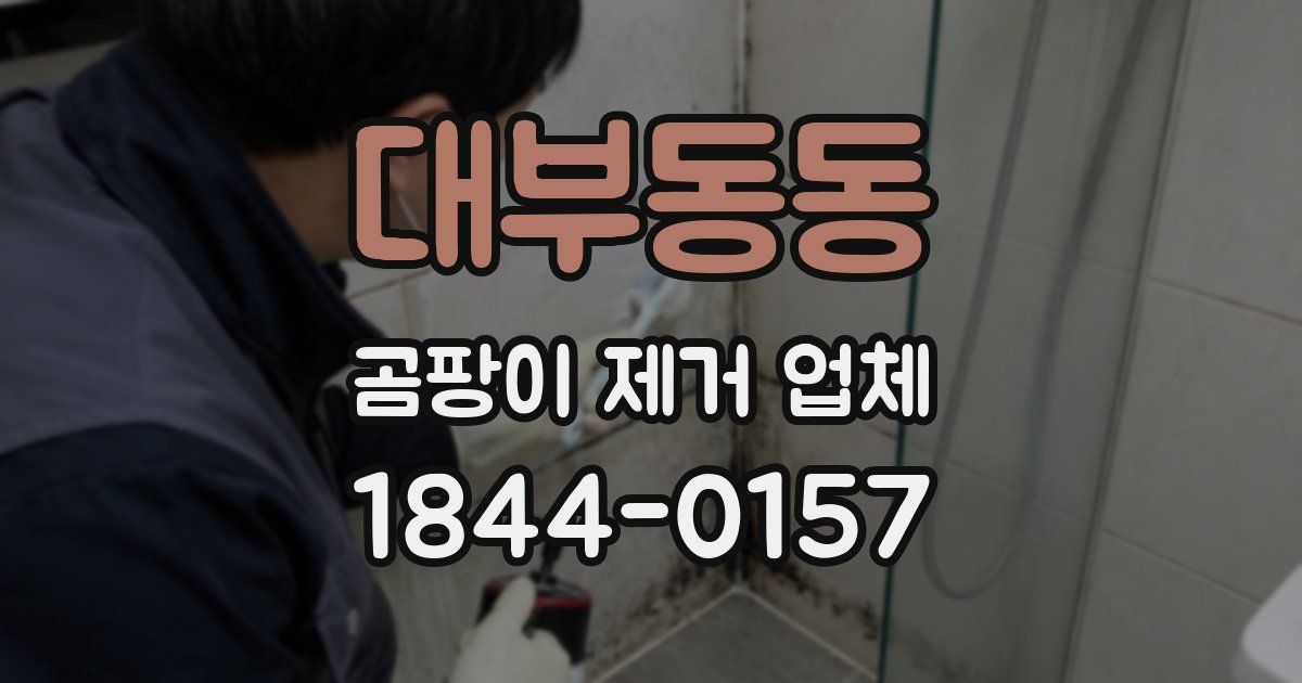 대부동동 곰팡이 제거 업체