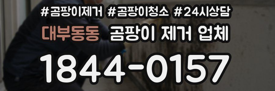대부동동 곰팡이 제거 업체