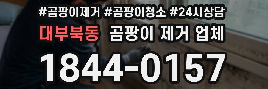 대부북동 곰팡이 제거 업체