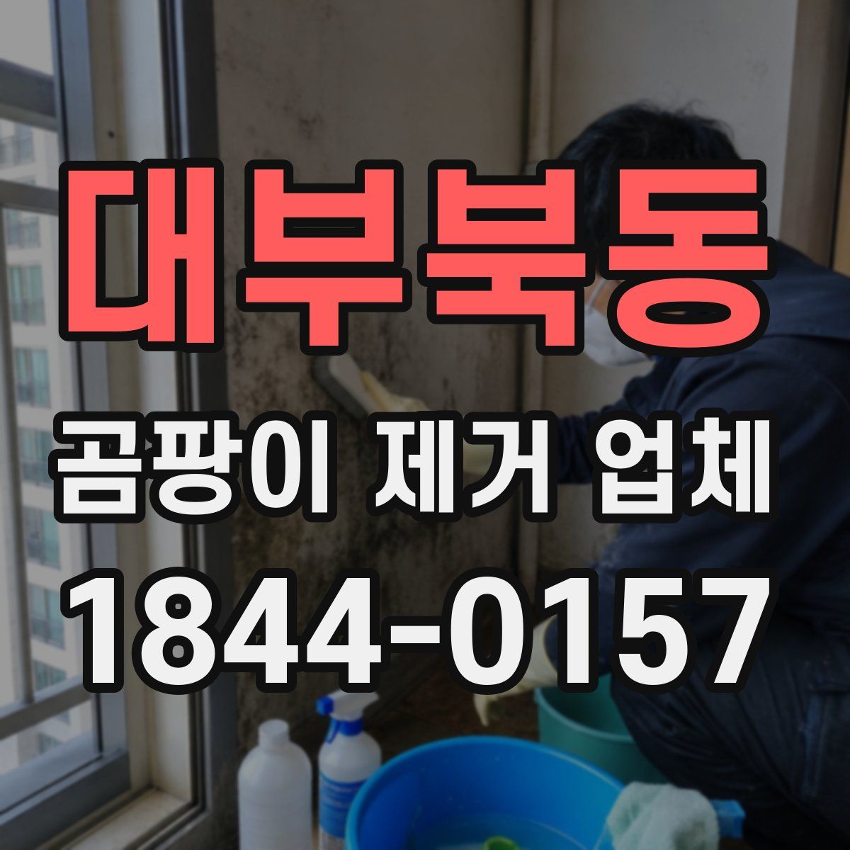 대부북동 곰팡이 제거 업체