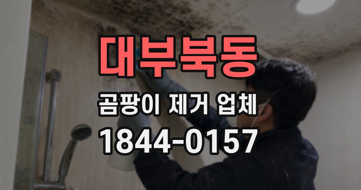 대부북동 곰팡이 제거 업체