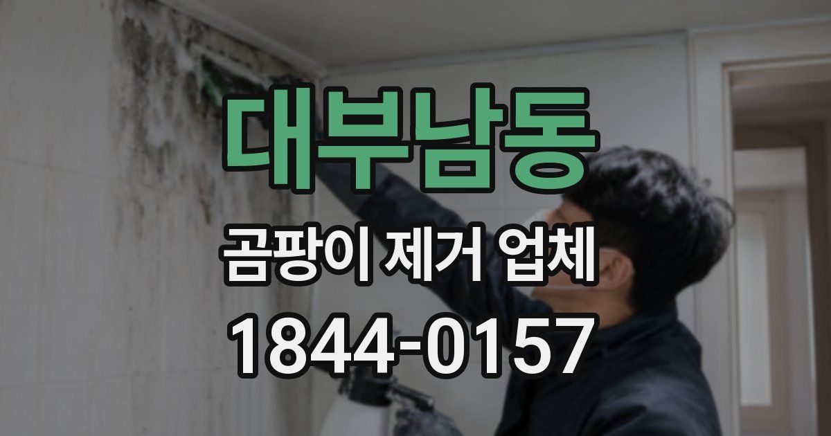 대부남동 곰팡이 제거 업체