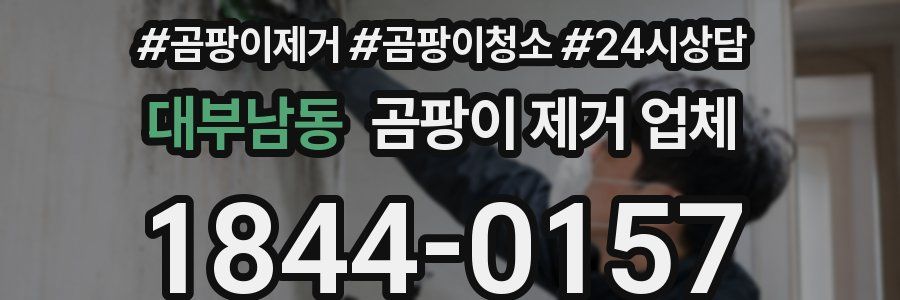 대부남동 곰팡이 제거 업체
