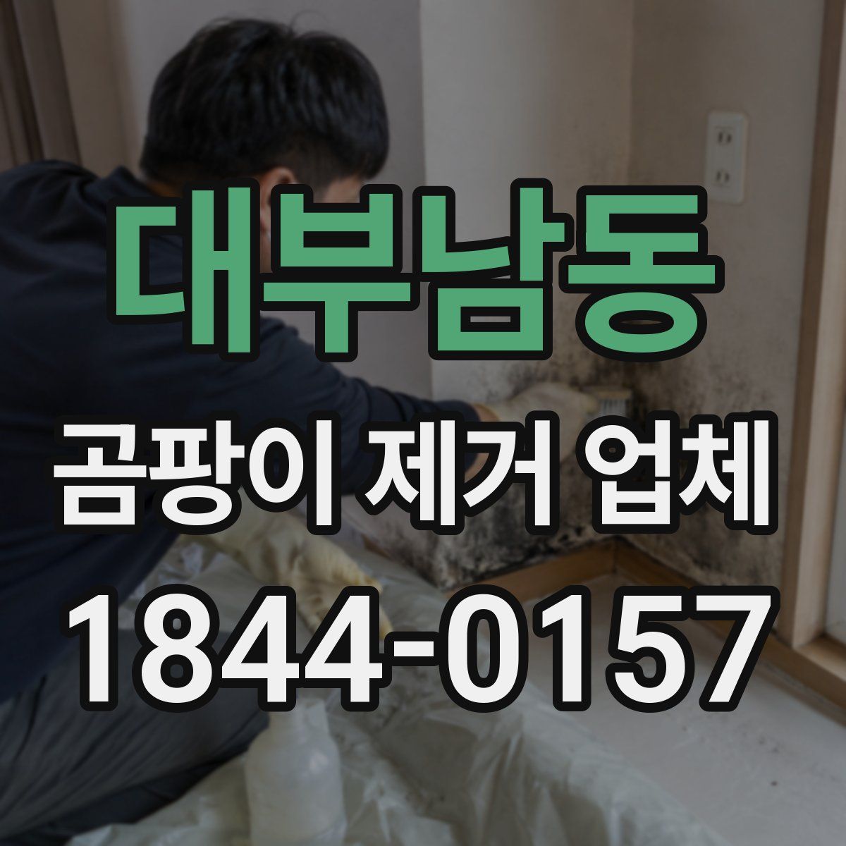 대부남동 곰팡이 제거 업체