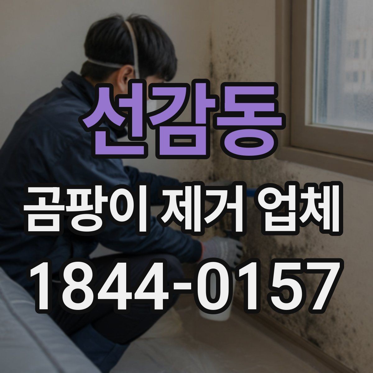 선감동 곰팡이 제거 업체 생활 오염과 곰팡이를 구분해 처리하는 시점