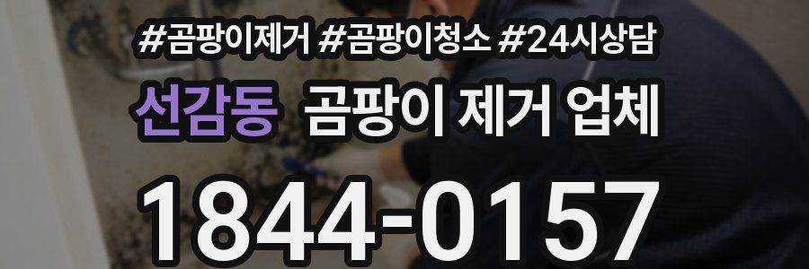 선감동 곰팡이 제거 업체