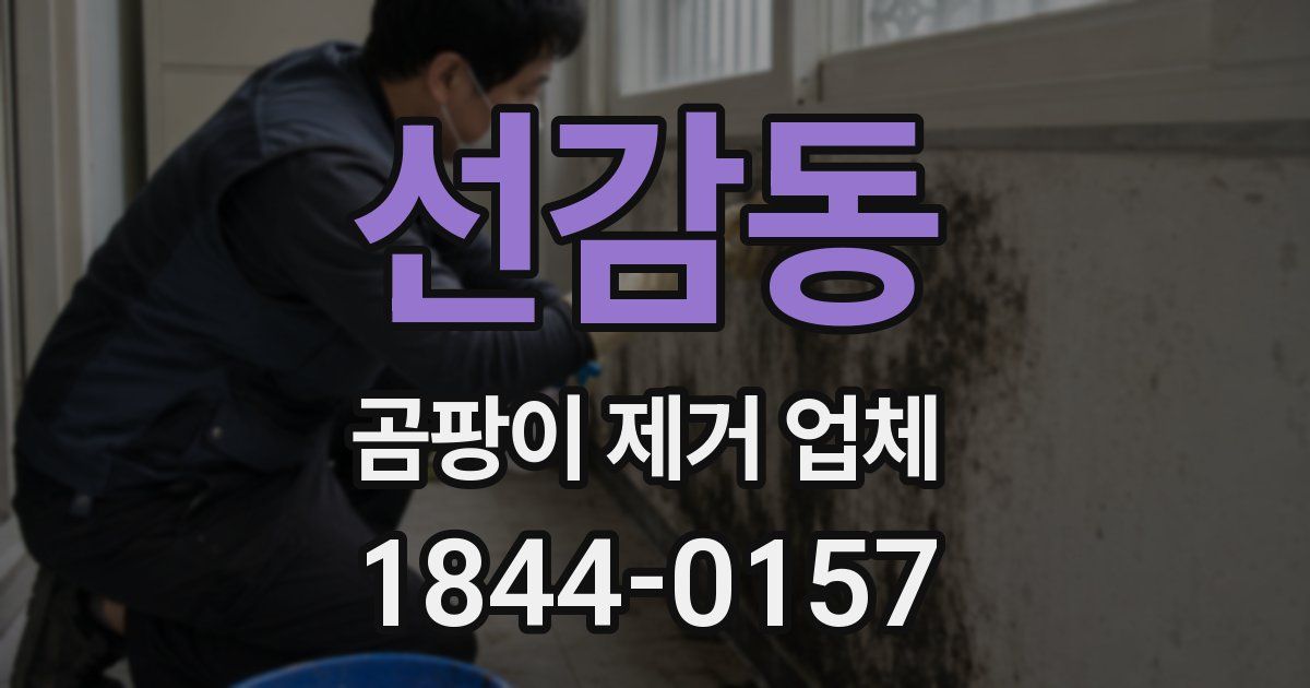 선감동 곰팡이 제거 업체