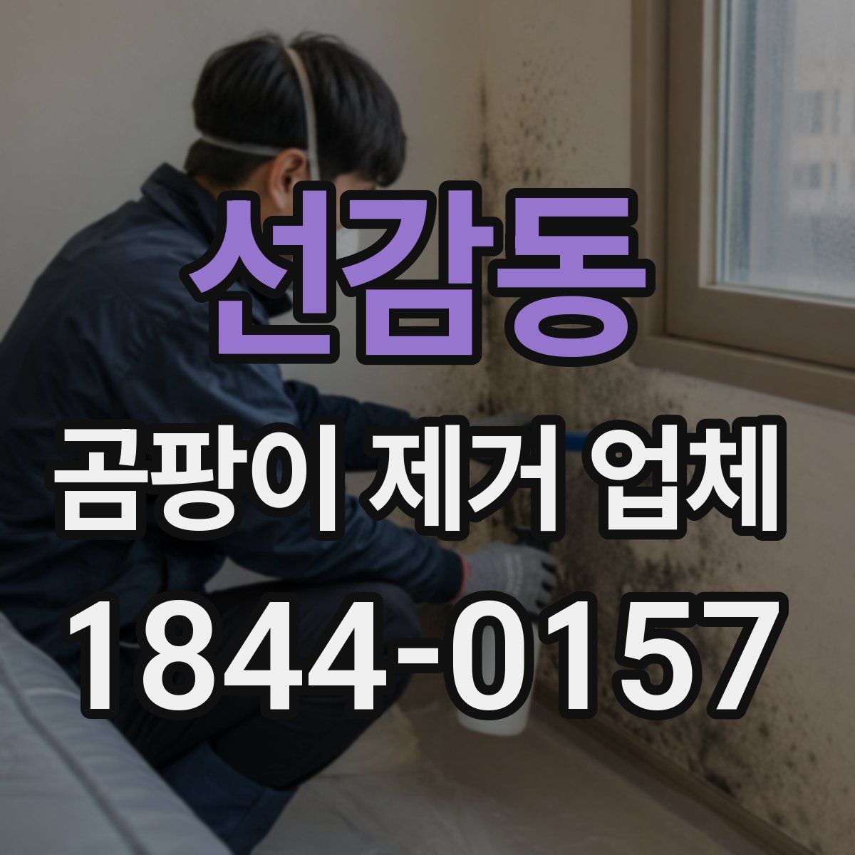 선감동 곰팡이 제거 업체