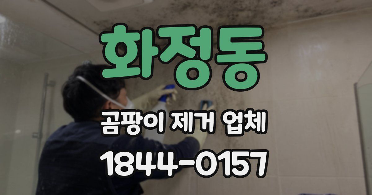 화정동 곰팡이 제거 업체