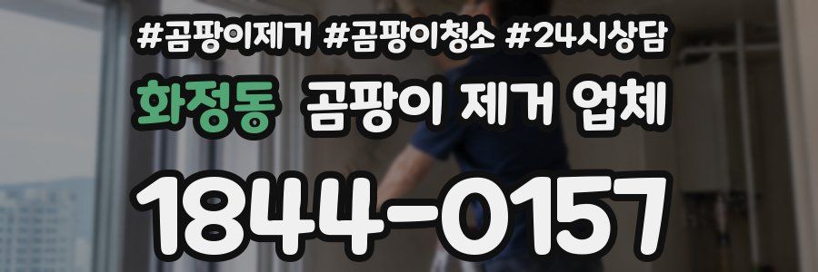 화정동 곰팡이 제거 업체