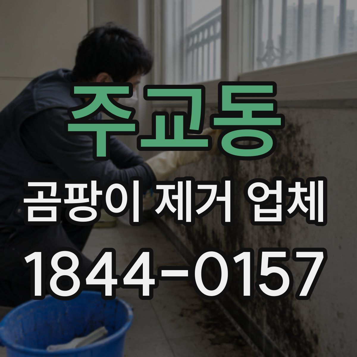 주교동 곰팡이 제거 업체