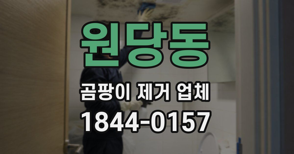 원당동 곰팡이 제거 업체