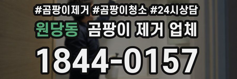 원당동 곰팡이 제거 업체
