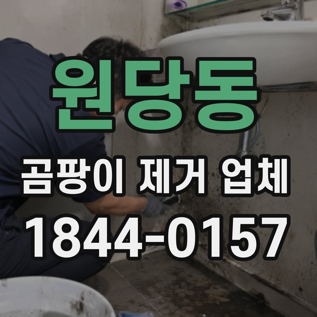 원당동 곰팡이 제거 업체