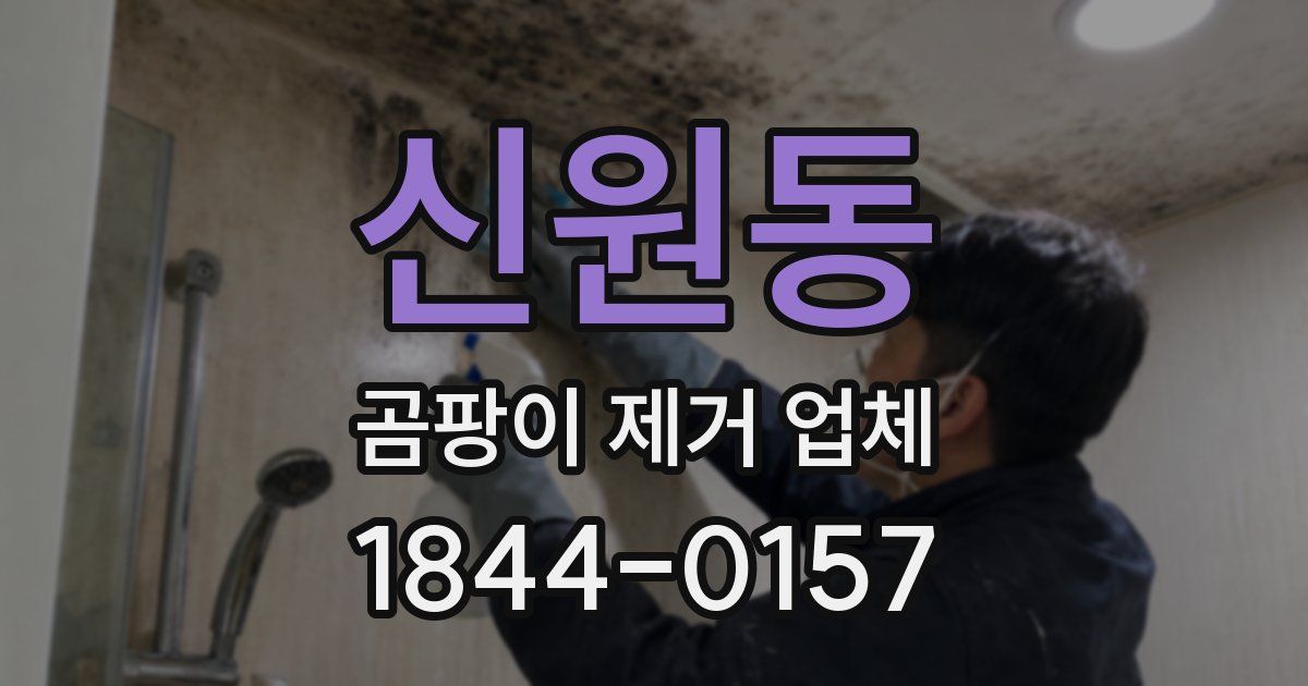 신원동 곰팡이 제거 업체