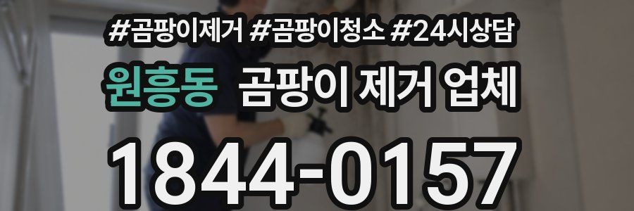 원흥동 곰팡이 제거 업체