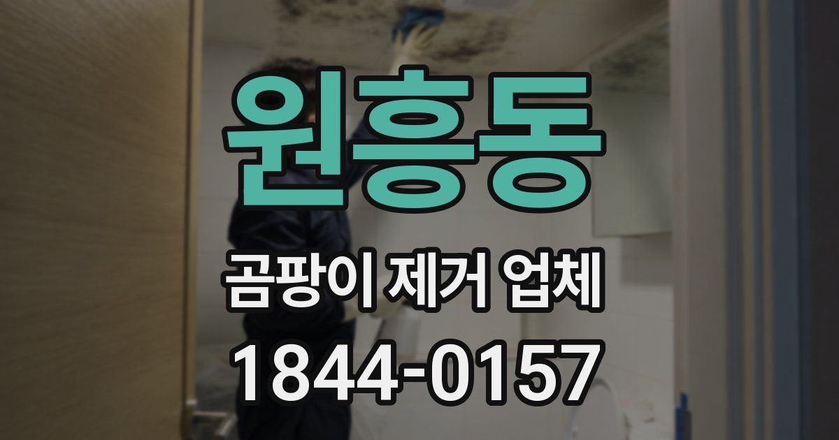 원흥동 곰팡이 제거 업체