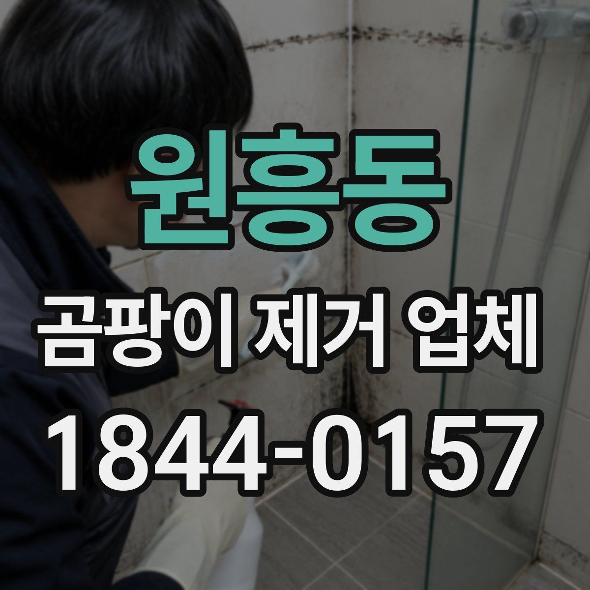 원흥동 곰팡이 제거 업체