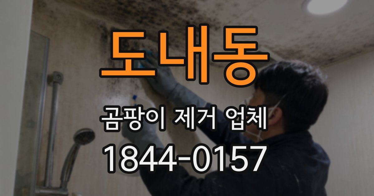 도내동 곰팡이 제거 업체