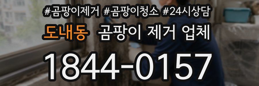 도내동 곰팡이 제거 업체
