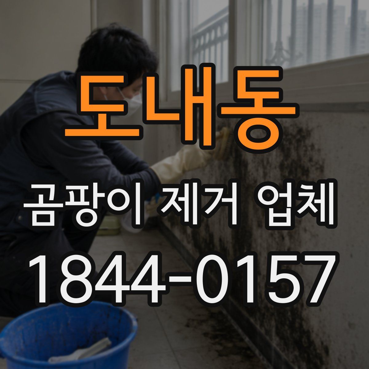도내동 곰팡이 제거 업체