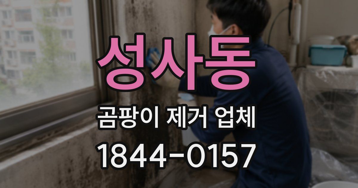 성사동 곰팡이 제거 업체
