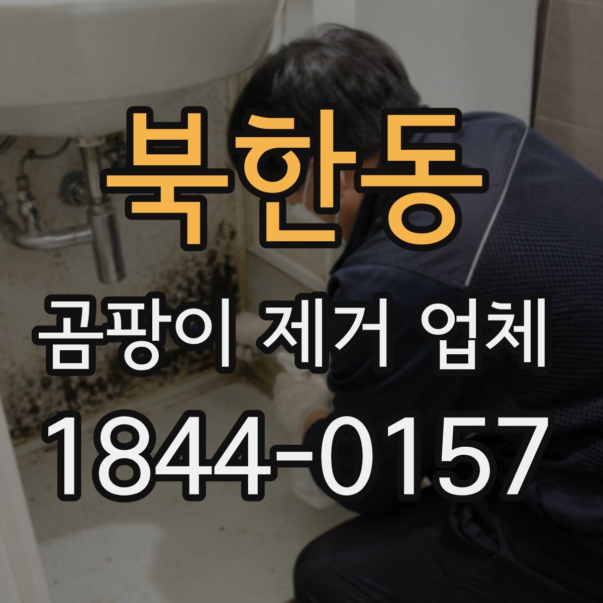 북한동 곰팡이 제거 업체
