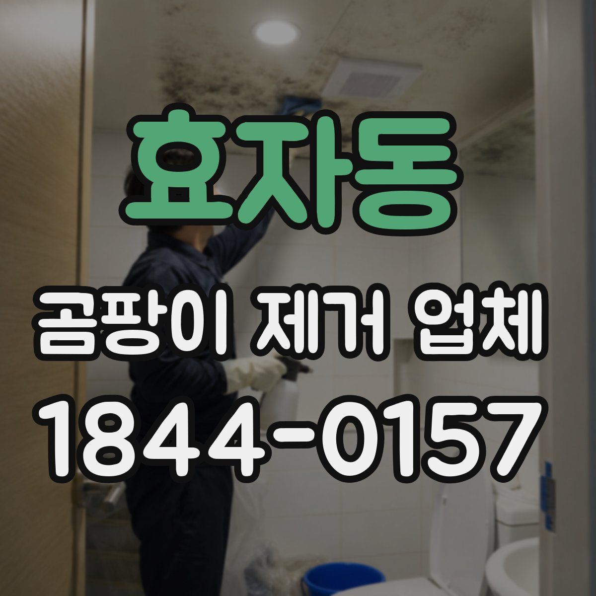 효자동 곰팡이 제거 업체