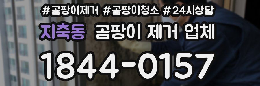 지축동 곰팡이 제거 업체