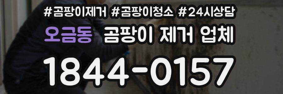 오금동 곰팡이 제거 업체