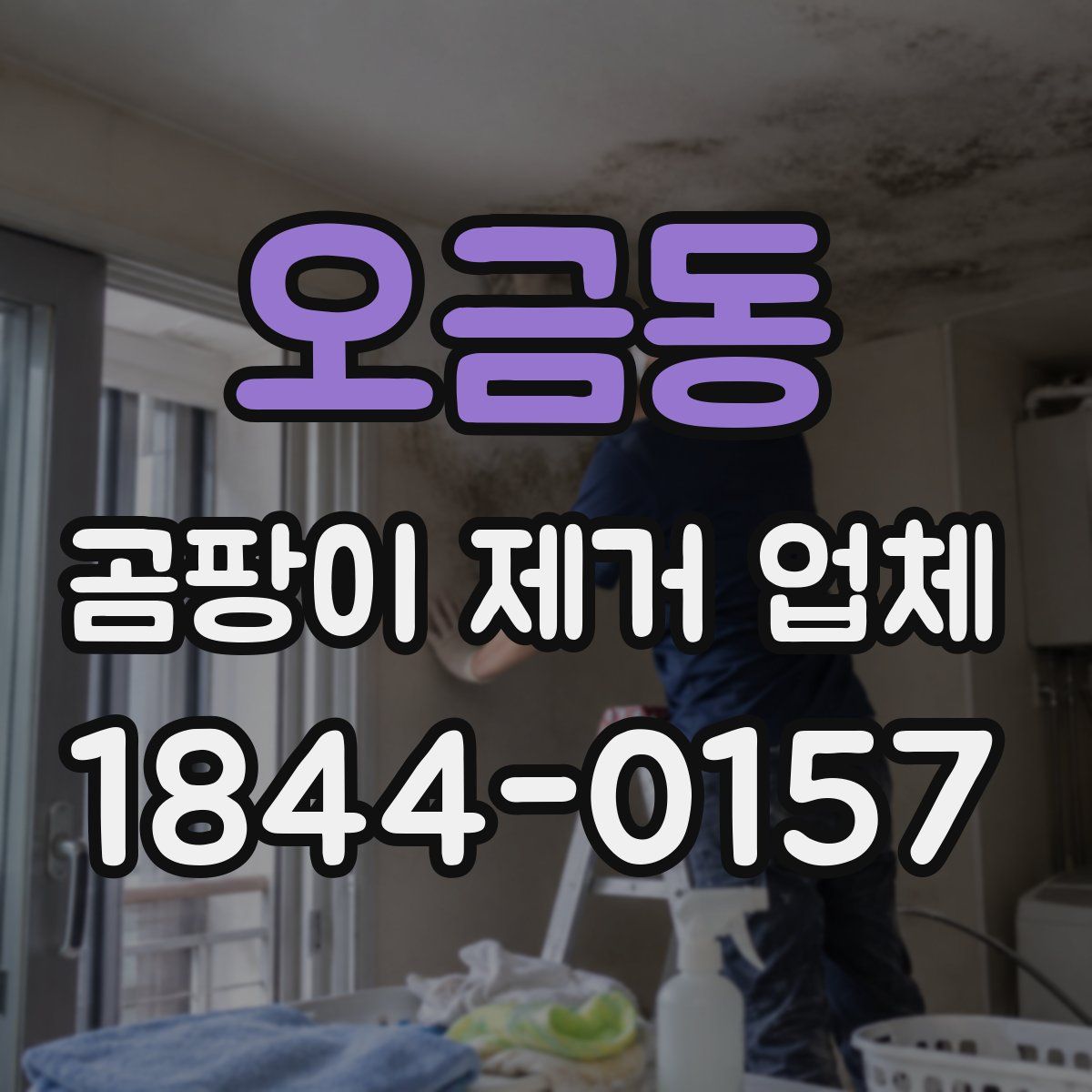 오금동 곰팡이 제거 업체