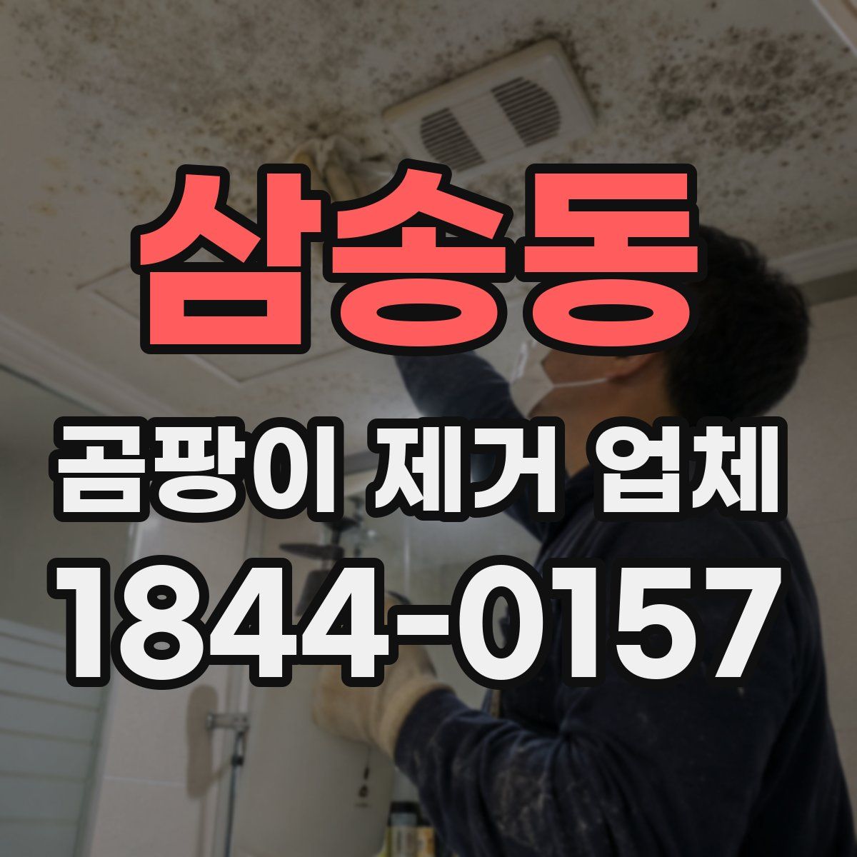 삼송동 곰팡이 제거 업체