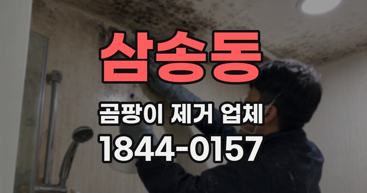 삼송동 곰팡이 제거 업체