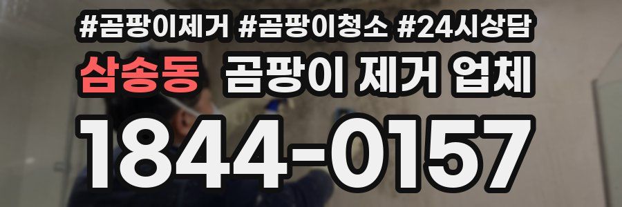 삼송동 곰팡이 제거 업체