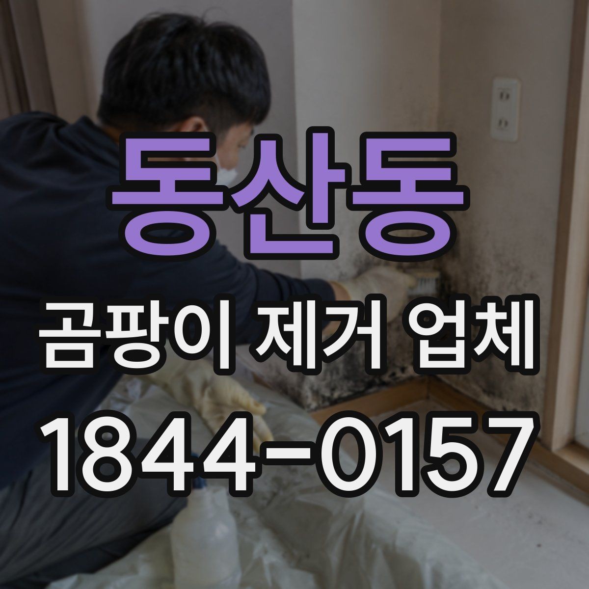 동산동 곰팡이 제거 업체 벽체 내부 오염 가능성을 확인하는 체크리스트