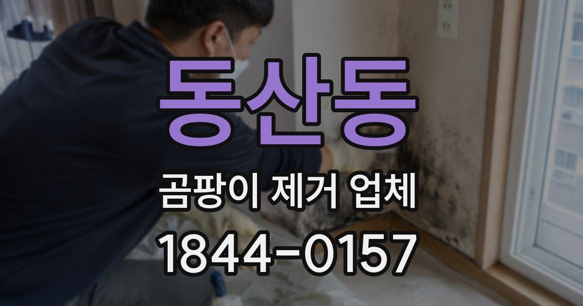 동산동 곰팡이 제거 업체