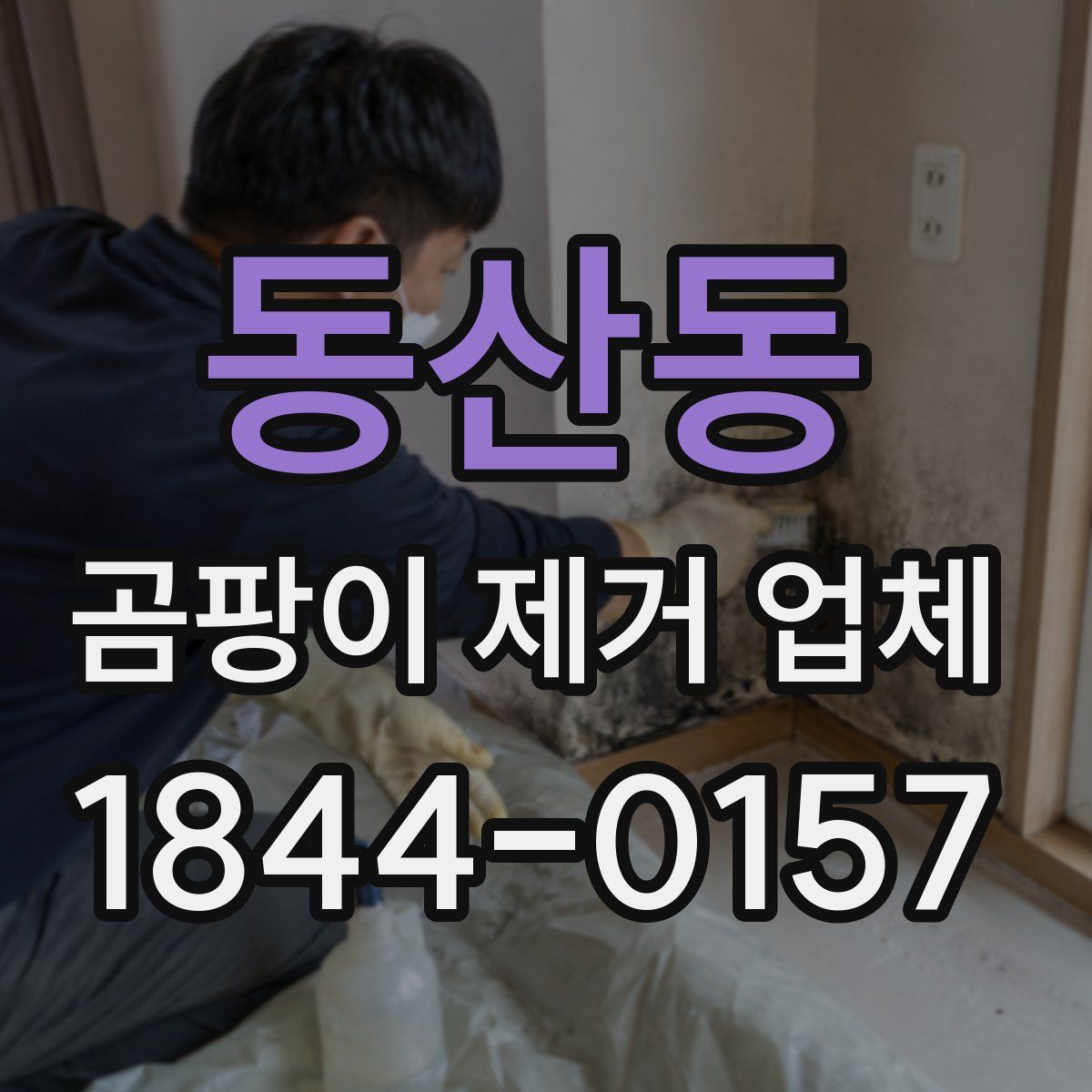 동산동 곰팡이 제거 업체