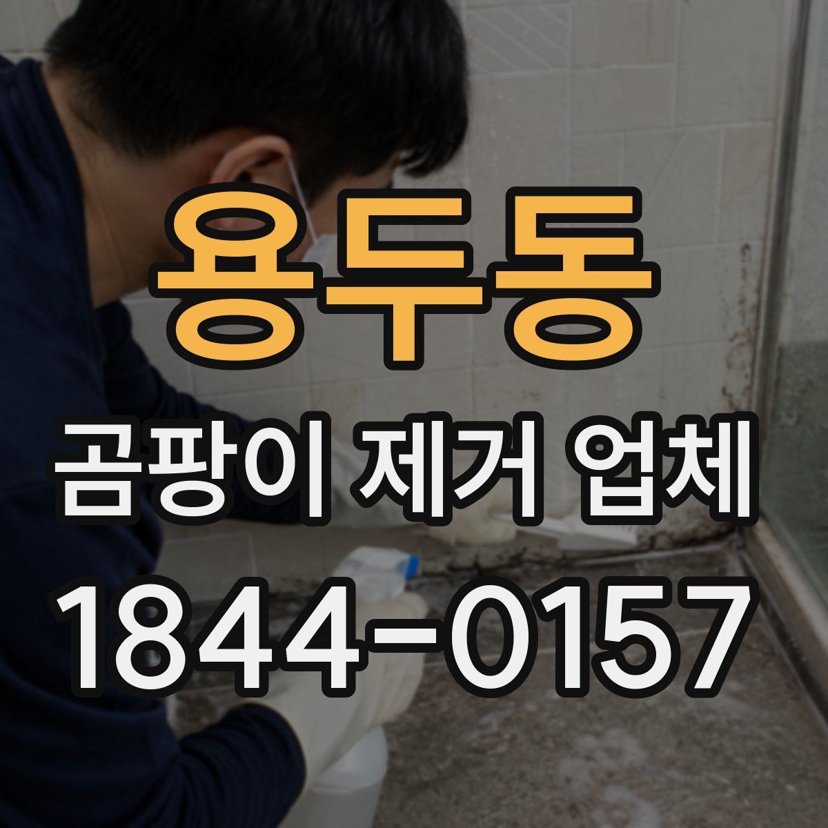 용두동 곰팡이 제거 업체