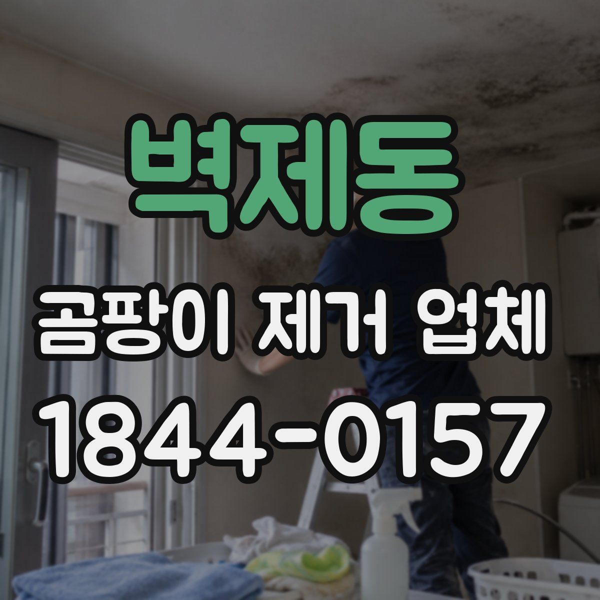 벽제동 곰팡이 제거 업체