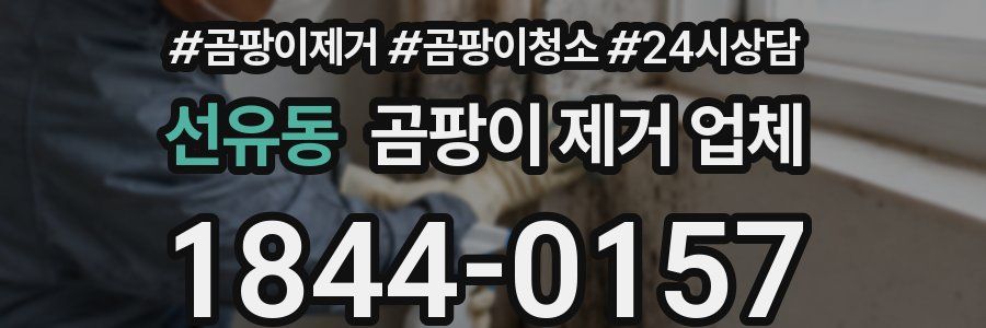 선유동 곰팡이 제거 업체